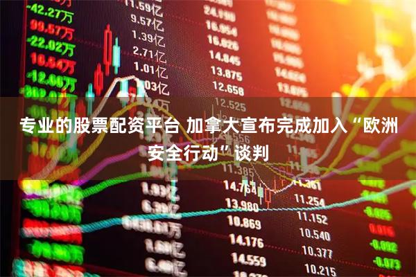 专业的股票配资平台 加拿大宣布完成加入“欧洲安全行动”谈判